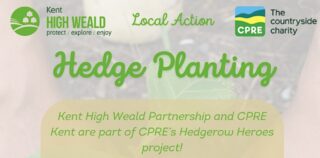 hedge planting header